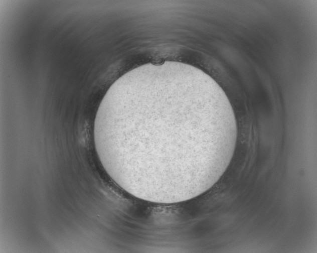 X0000062870077200601271607