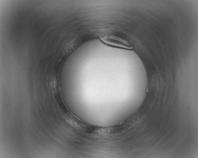 X0000062870084200601271607