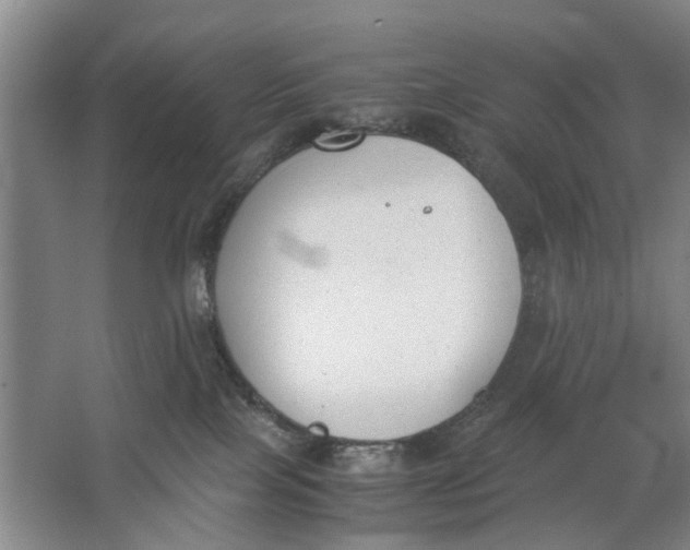 X0000062870089200601271607