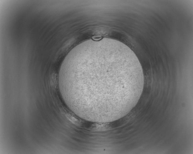 X0000062870093200601271607