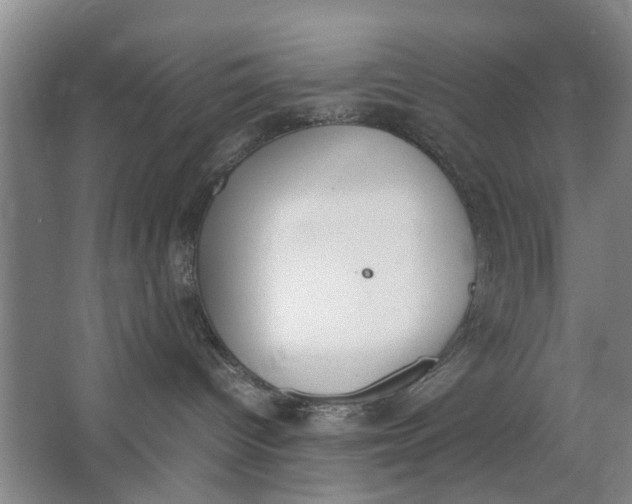 X0000062870096200601271607