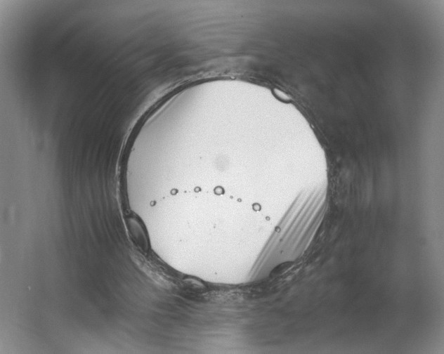 X0000062870100200601271606