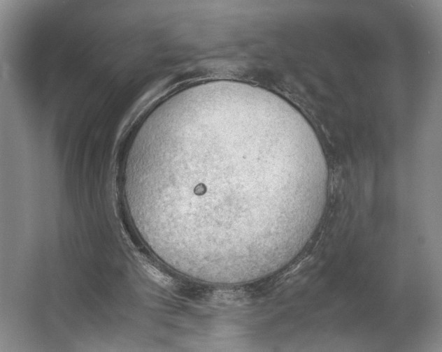 X0000062870101200601271606