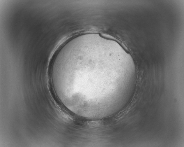 X0000062870102200601271606