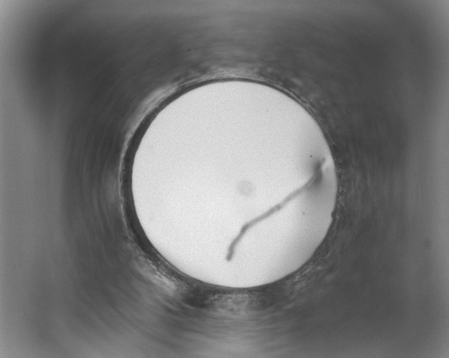 X0000062870104200601271606