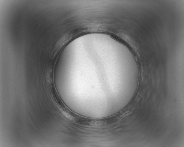 X0000062870105200601271606