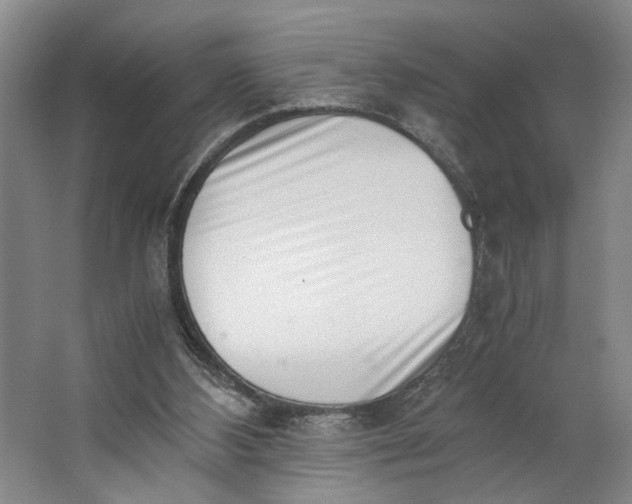 X0000062870108200601271606