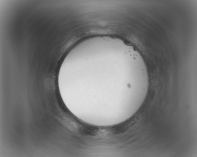 X0000062870111200601271606