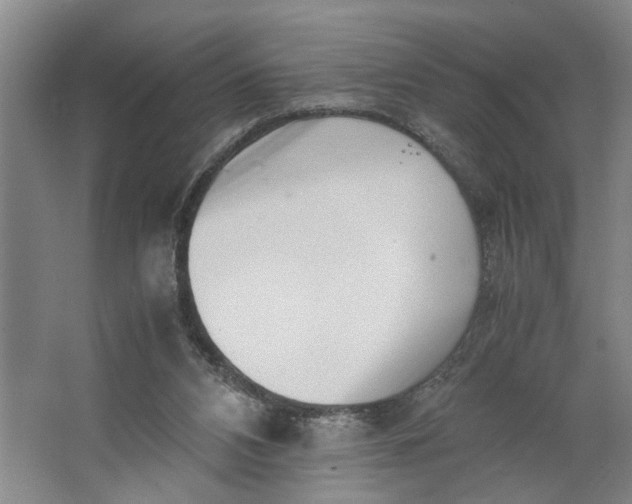 X0000062870112200601271606