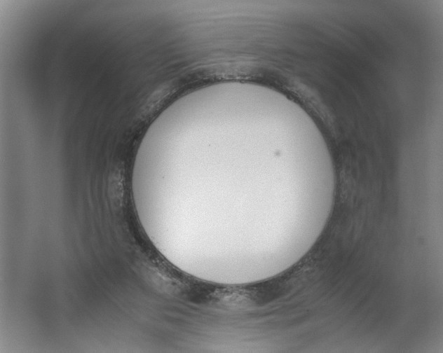 X0000062870113200601271606