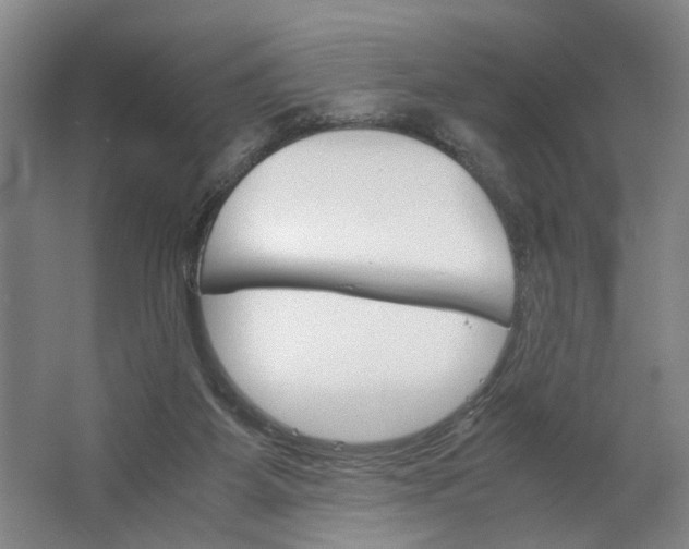 X0000062870115200601271606