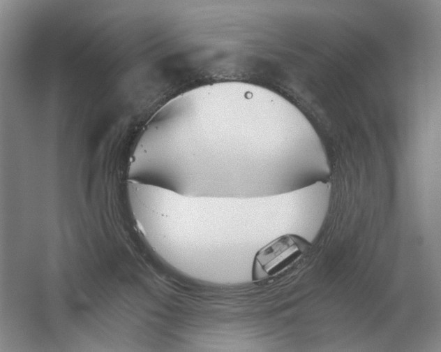 X0000062870117200601271606