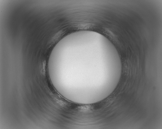 X0000062870118200601271606