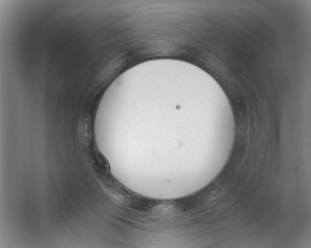 X0000062870119200601271606