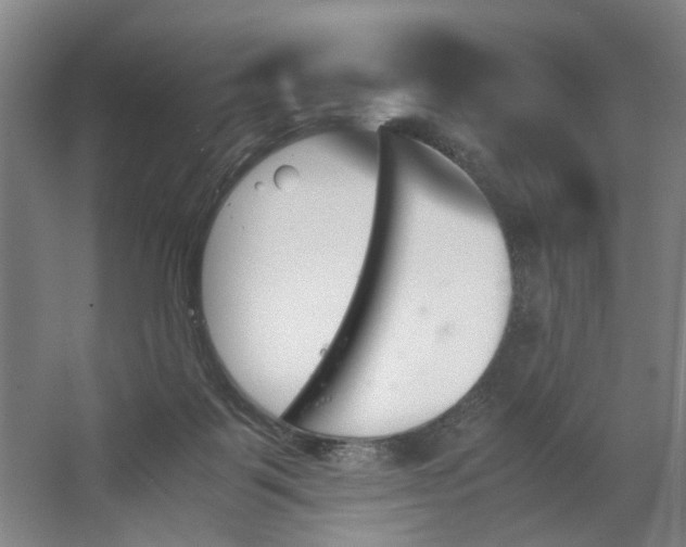 X0000062870123200601271606