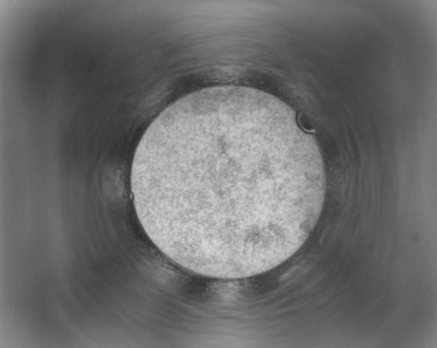 X0000062870131200601271606