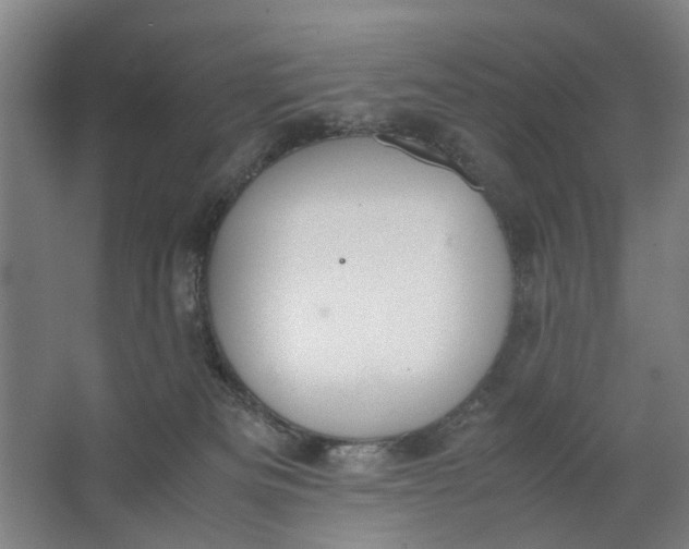 X0000062870133200601271606