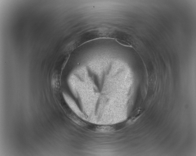 X0000062870137200601271605