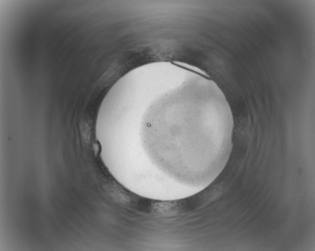 X0000062870139200601271605