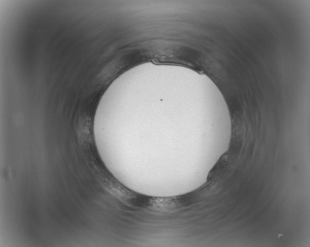 X0000062870141200601271605