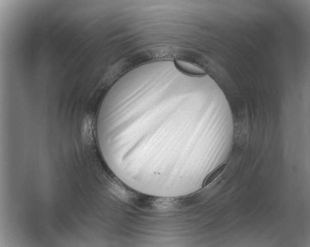 X0000062870142200601271605