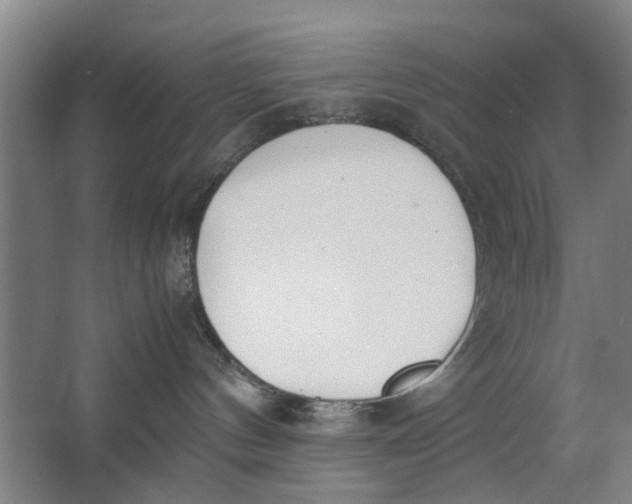 X0000062870144200601271605