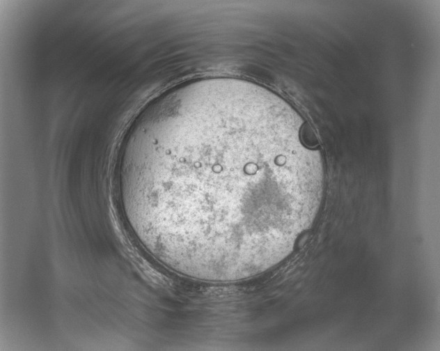 X0000062870145200601271605