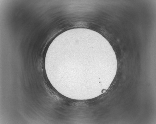 X0000062870146200601271605