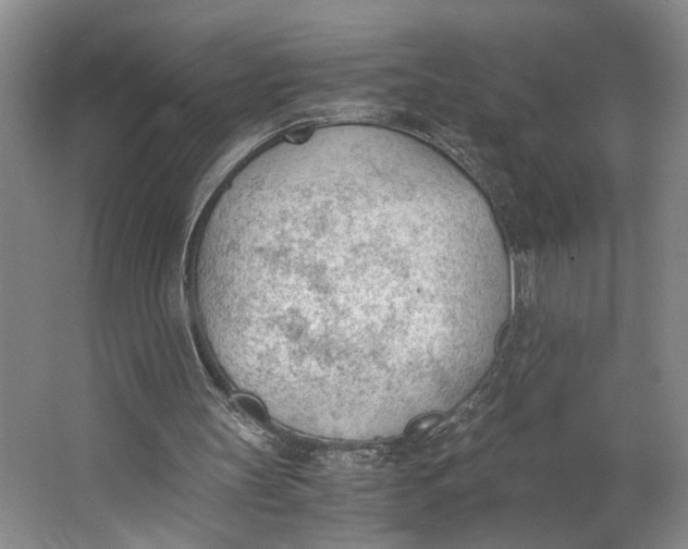 X0000062870147200601271605