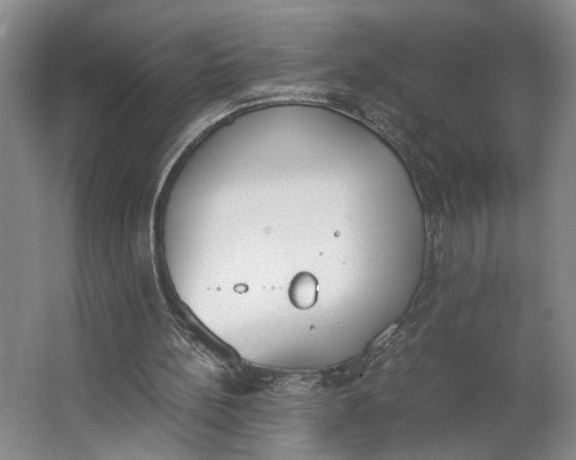 X0000062870148200601271605