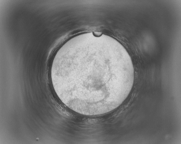 X0000062870149200601271605