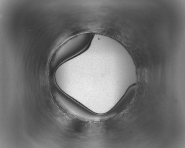 X0000062870150200601271605