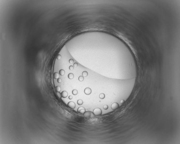 X0000062870153200601271605