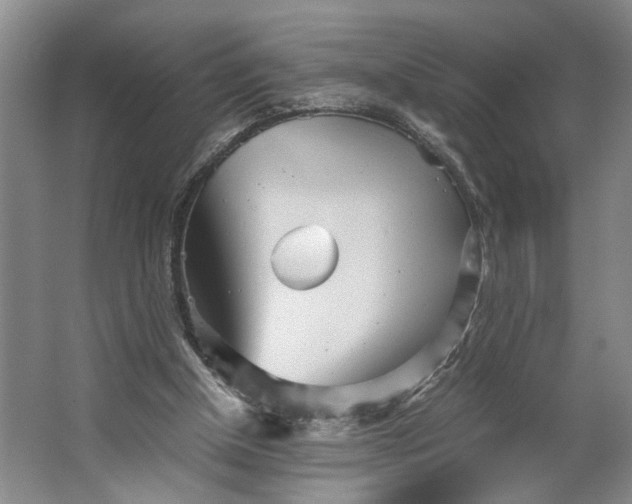 X0000062870154200601271605