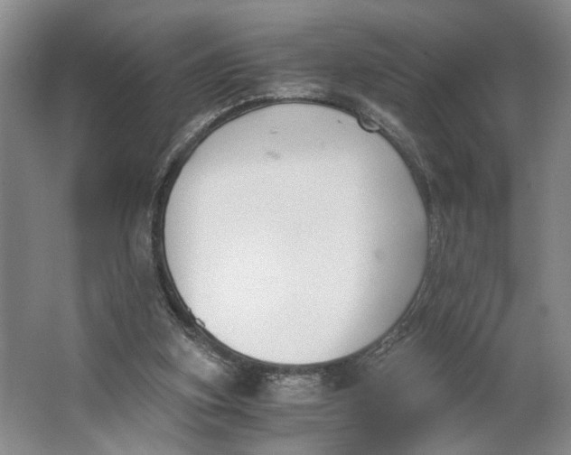 X0000062870155200601271605