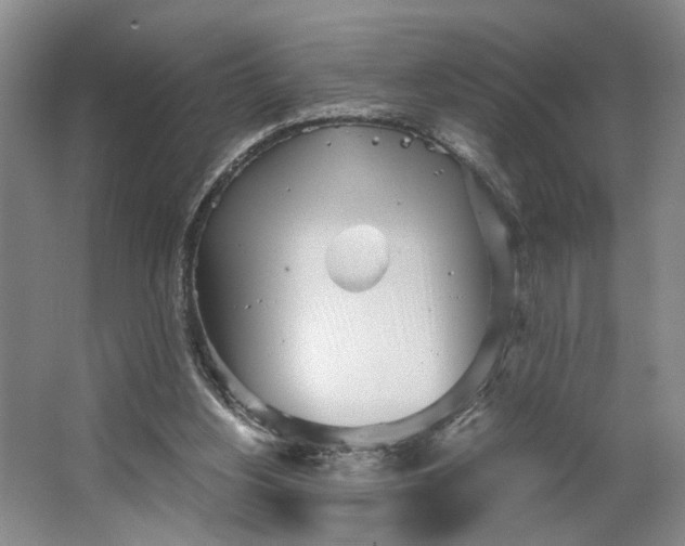 X0000062870156200601271605