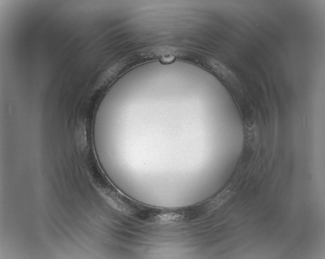 X0000062870158200601271605