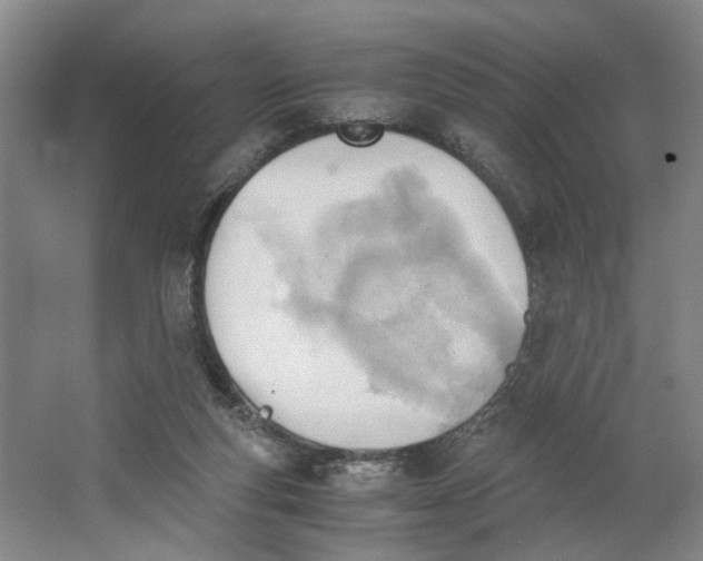 X0000062870163200601271605