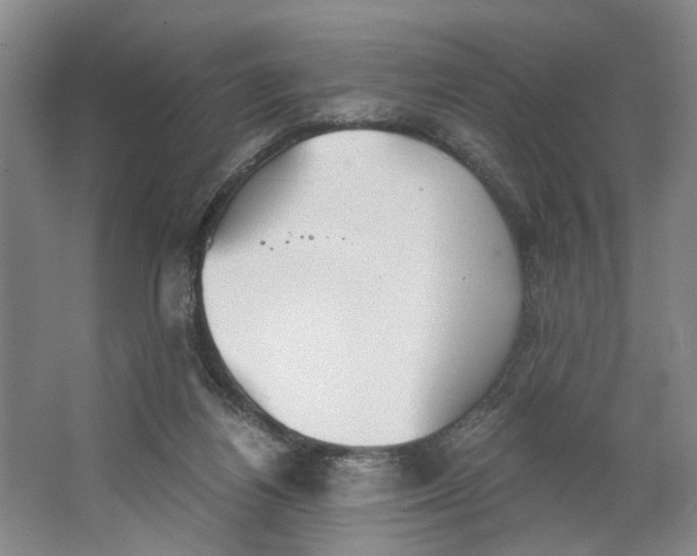 X0000062870164200601271605