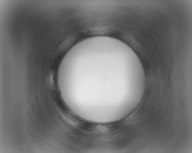 X0000062870166200601271605