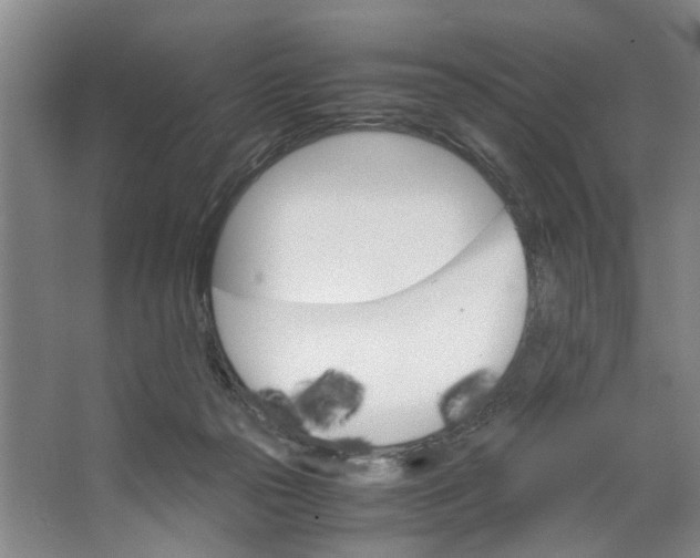 X0000062870169200601271605