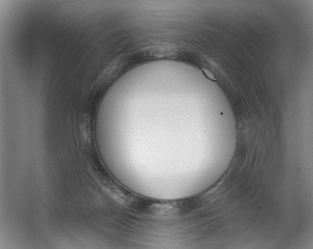 X0000062870170200601271605