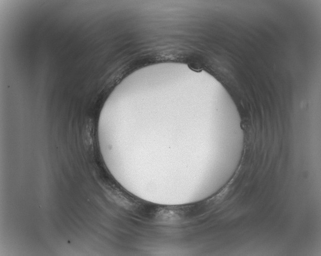 X0000062870174200601271605