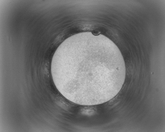 X0000062870175200601271605