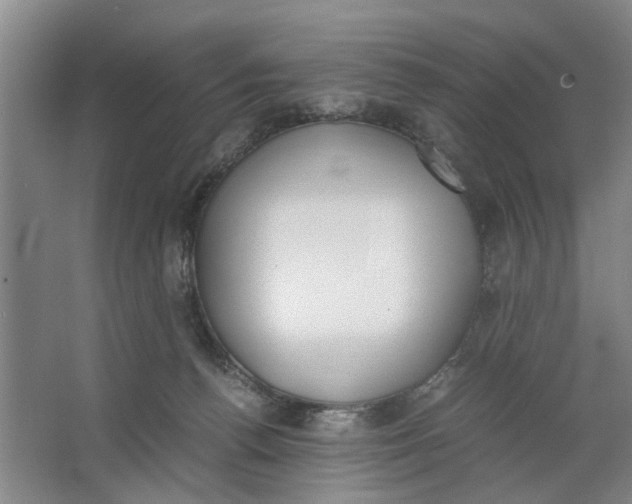 X0000062870176200601271605