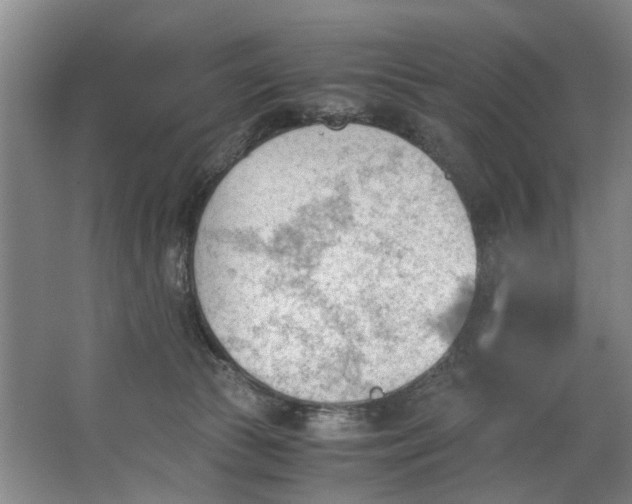 X0000062870177200601271605