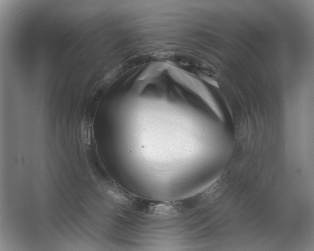 X0000062870180200601271605