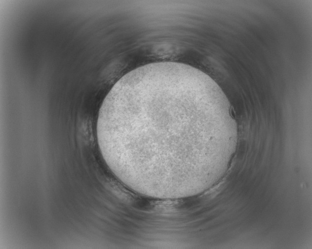 X0000062870182200601271605