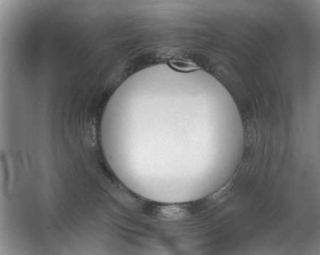 X0000062870183200601271605