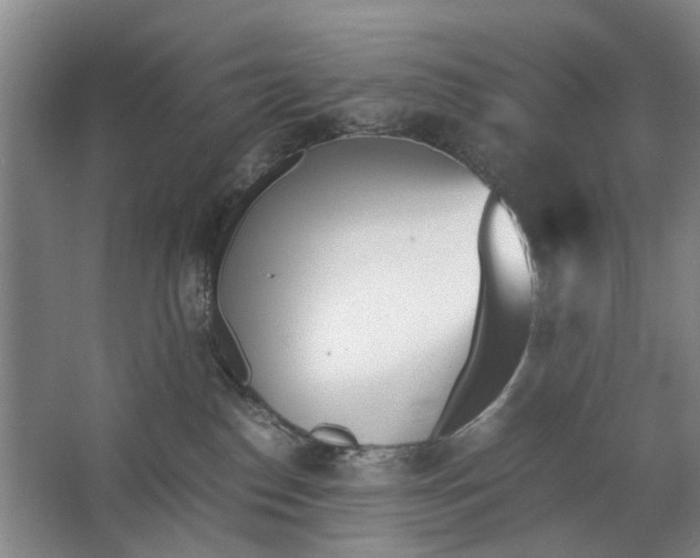 X0000062870186200601271605